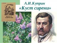 обложка аудиокниги Куст сирени