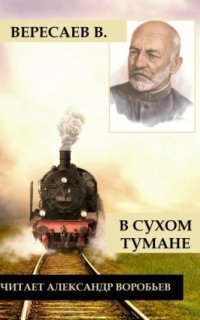 обложка аудиокниги В сухом тумане