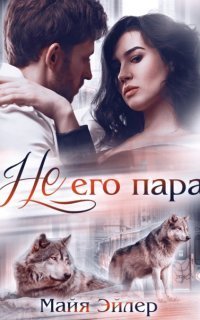 обложка аудиокниги Не его пара