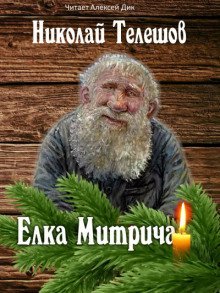 обложка аудиокниги Елка Митрича