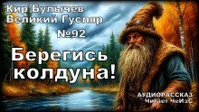 обложка аудиокниги Берегись колдуна!