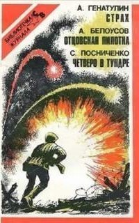 обложка аудиокниги Отцовская пилотка