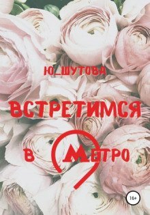 обложка аудиокниги Встретимся в метро