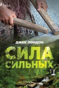 обложка аудиокниги Сила сильных