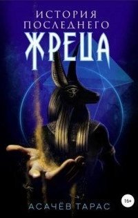 обложка аудиокниги История последнего Жреца