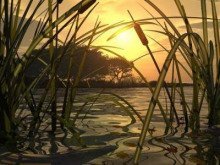 обложка аудиокниги Тишиною благословенная