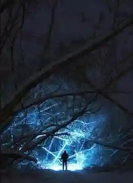 обложка аудиокниги Ночевка