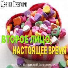 обложка аудиокниги Второе лицо, настоящее время