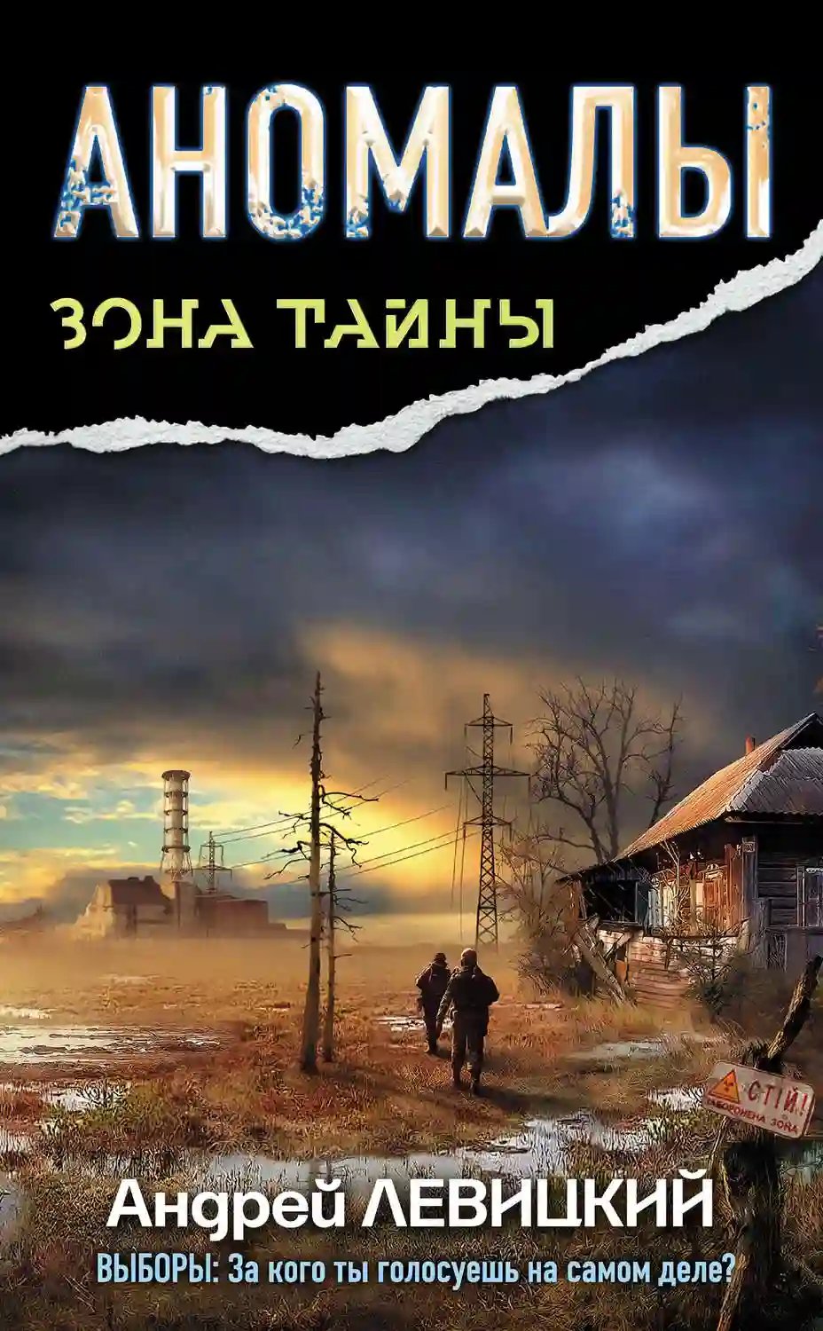 обложка аудиокниги Аномалы. Тайная Книга