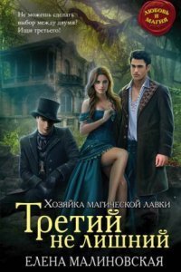 обложка аудиокниги Хозяйка магической лавки 2. Третий не лишний