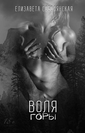 обложка аудиокниги Воля горы