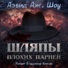 обложка аудиокниги Шляпы плохих парней