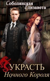 обложка аудиокниги Зануда 3. Украсть Ночного Короля