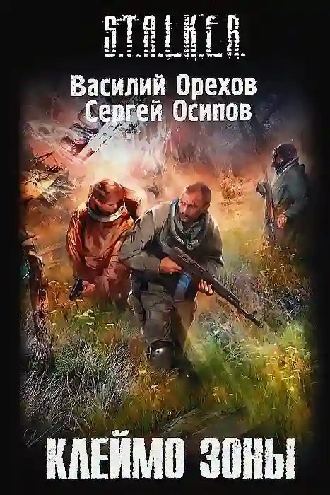 обложка аудиокниги S.T.A.L.K.E.R. Клеймо Зоны