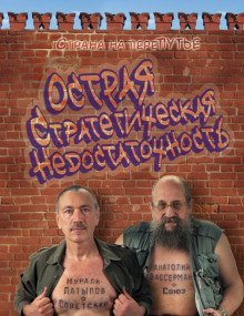 обложка аудиокниги Острая стратегическая недостаточность. Страна на перепутье