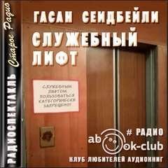 обложка аудиокниги Служебный лифт