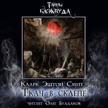 обложка аудиокниги Ткач в склепе