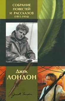 обложка аудиокниги История, рассказанная в палате для слабоумных
