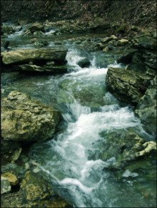 обложка аудиокниги Пилигрим