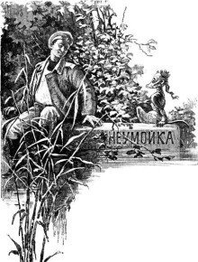 обложка аудиокниги Неумойка