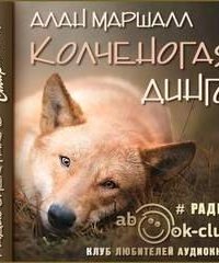 обложка аудиокниги Колченогая динго