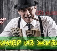 обложка аудиокниги Пример из жизни