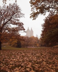 обложка аудиокниги Фараон и хорал