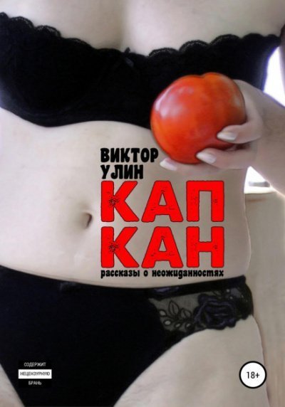 обложка аудиокниги Капкан