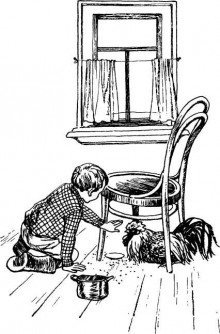 обложка аудиокниги Как патефон петуха от смерти спас