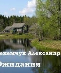 обложка аудиокниги Ожидания