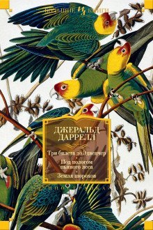 обложка аудиокниги Три билета до Эдвенчер