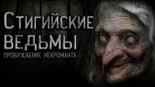 обложка аудиокниги Стигийские ведьмы