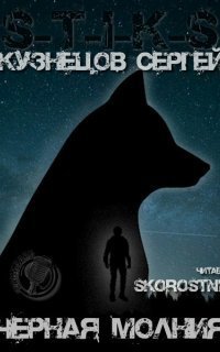 обложка аудиокниги S