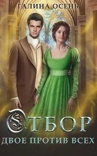 обложка аудиокниги Отбор. Двое против всех