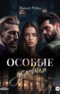 обложка аудиокниги Особые условия