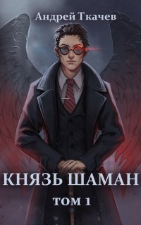 обложка аудиокниги Князь шаман. Книга 1