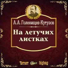 обложка аудиокниги На летучих листках