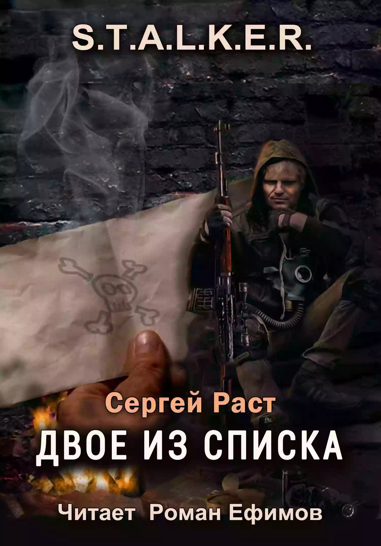 обложка аудиокниги S.T.A.L.K.E.R. Двое из списка