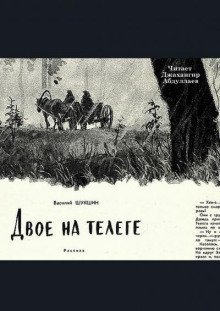 обложка аудиокниги Двое на телеге