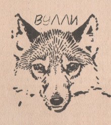 обложка аудиокниги Вулли