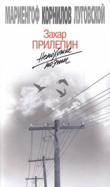 обложка аудиокниги Непохожие поэты