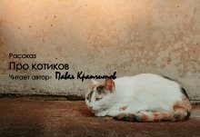 обложка аудиокниги Про котиков