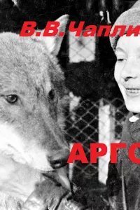 обложка аудиокниги Арго