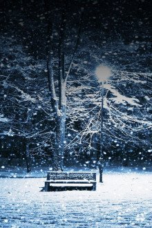 обложка аудиокниги Новогодняя сказка