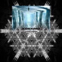 обложка аудиокниги В снежинке