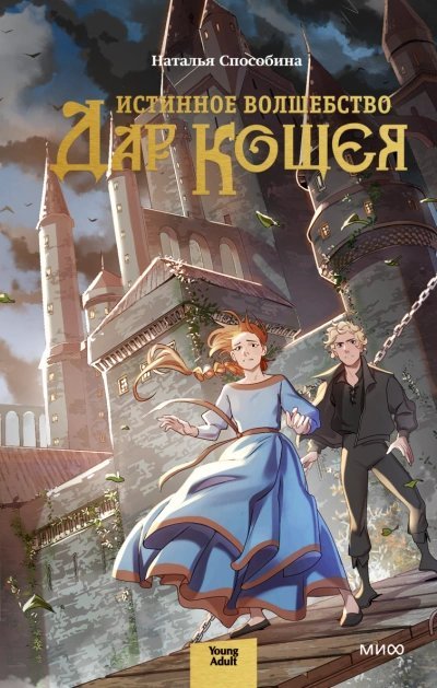 обложка аудиокниги Дар Кощея