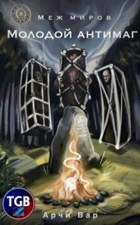 обложка аудиокниги Меж миров. Молодой антимаг