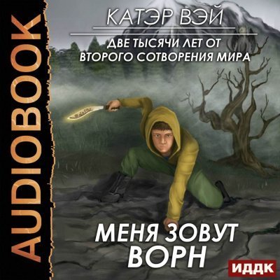 обложка аудиокниги Меня зовут Ворн