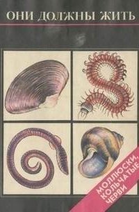 обложка аудиокниги Моллюски и кольчатые черви