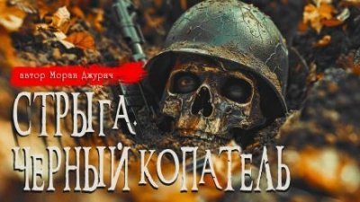 обложка аудиокниги Стрыга. Чёрный копатель